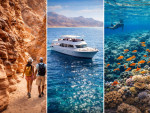 Blue Coral Travel Egypt