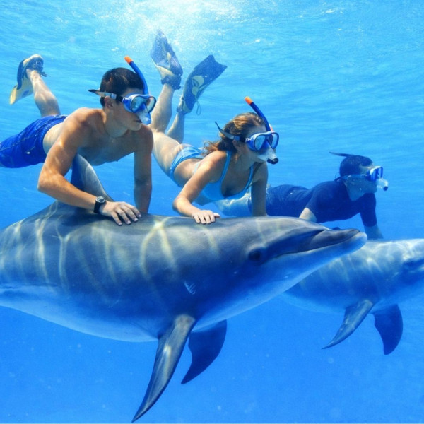 Dolphin Snorkeling Trip at Samadai by Luxury Boat